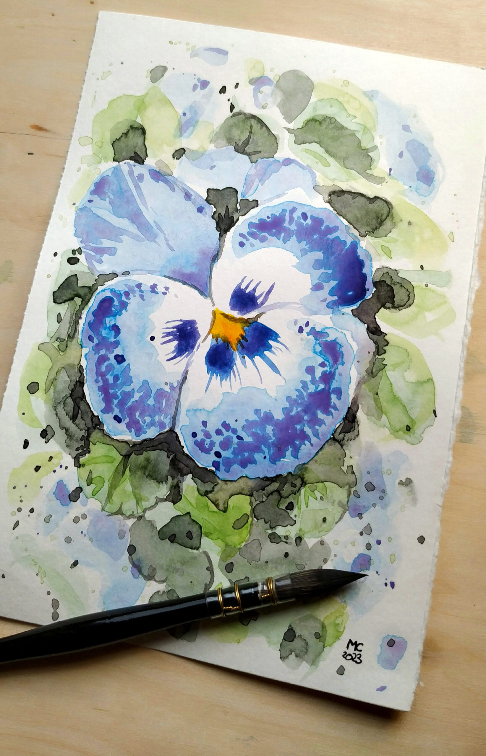 Aquarellzeichnung eines blau-weißen Stiefmütterchens.