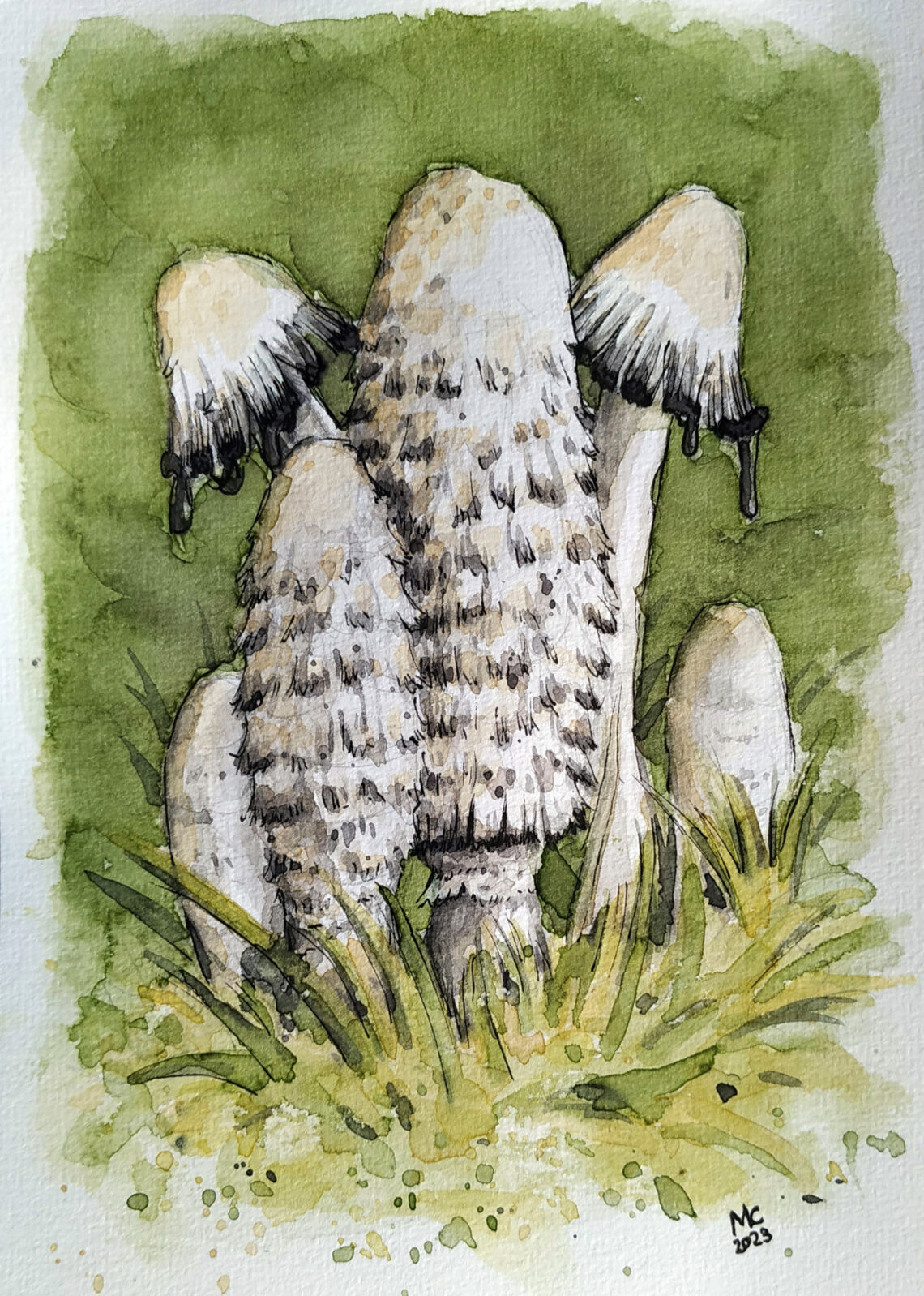 Aquarell von Schopf-Tinlingen