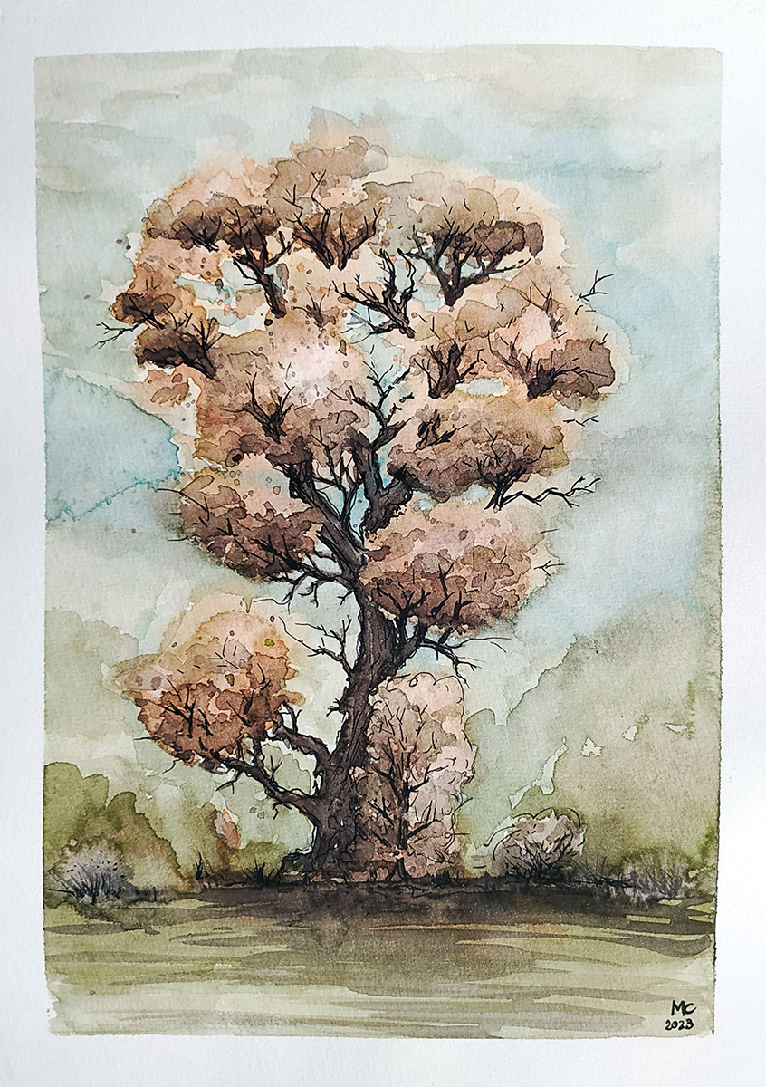 Aquarell eines alten Baums im Herbst.