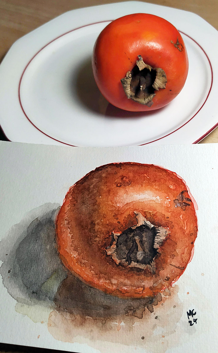 Kaki Frucht in Aquarell gezeichnet