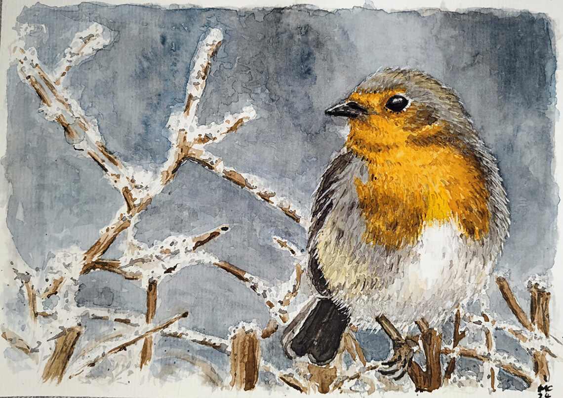 Rotkelchen Aquarellzeichnung