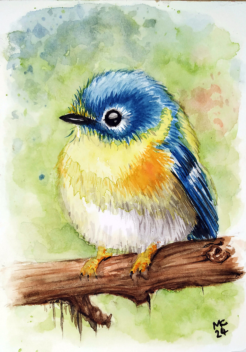 Aquarellzeichnung eines kleinen Vogels